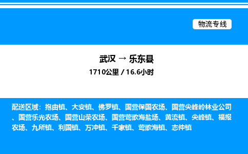 武漢到樂(lè)東縣物流專(zhuān)線(xiàn)-武漢至樂(lè)東縣貨運(yùn)公司